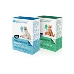 Viyo Recuperation Dog 150ml