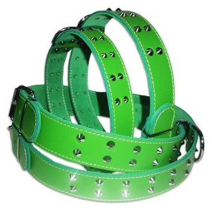 ZGARDA PET EXPERT TINTE