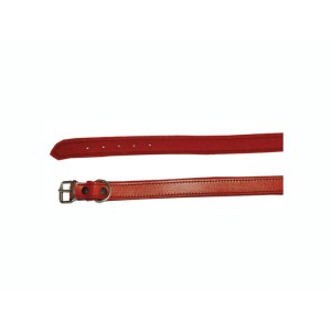 Zgarda caine tip C 80 cm