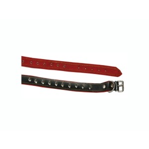 Zgarda caine tip D 53 cm