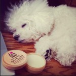 Pet Head Paw Butter 59ml 2