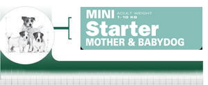 Mini Starter Royal Canin - Mother & Babydog