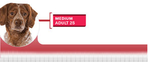 Royal Canin Medium Adult - Hrana Uscata Caini