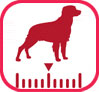 Royal Canin Medium Adult - Asigura o greutate optima