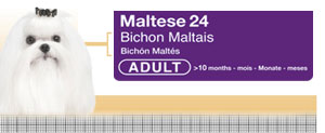Royal Canin Bichon Maltese Adult - Hrana Uscata Caini Adulti din Rasa Bichon Maltez Royal Canin Bichon Maltese Adult - Hrana Uscata Caini Adulti din Rasa Bichon Maltez