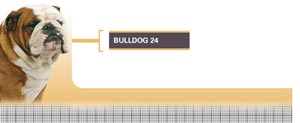 Royal Canin Bulldog Adult - Hrana Uscata Caini Adulti din Rasa Bulldog