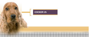 Royal Canin Cocker Adult - Hrana Uscata Caini Adulti din Rasa Cocker