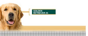 Royal Canin Golden Retriever Adult - Hrana Uscata Caini Adulti din Rasa Golden Retriever