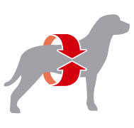 Royal Canin Labrador Retriever Adult - Reteta pentru mentinerea greutatii optime  Contribuie la mentinerea greutatii optime a Labradorului, prin combinarea unui procent de proteina crescut (30%) cu un aport de lipide scazut (13%) si L-carnitina pentru a sustine metabolismul grasimilor.  O crocheta exclusiva, a carei forma si continut (orz si psyllium) induc senzatia de satietate.