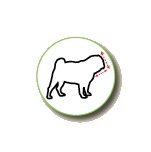 Royal Canin Pug (Mops) Adult - Creşterea &icirc;n greutate poate duce la probleme grave de sanatate. PUG 25 &trade; este formulat cu un nivel optim de energie şi L-carnitină pentru a maximiza metabolizarea de grăsime.