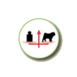 Royal Canin Pug (Mops) Adult - 