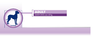 Royal Canin Adult Giant Dog - Hrana Uscata Caini de Talie Giant Royal Canin Adult Giant Dog - Hrana Uscata Caini de Talie Giant