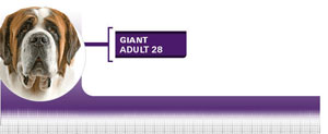 Royal Canin Giant Adult - Hrana Uscata Caini Adulti de Talie Gigant