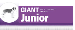 Royal Canin Giant Junior - Hrana Uscata Catei de Talie Giant