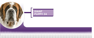 Royal Canin Giant Puppy - Hrana Uscata Catei Talie Giant