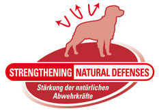 Royal Canin Medium Adult - Intareste Sistemul Imunitar