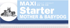 Royal Canin Maxi Starter - Hrana Uscata Superpremium pentru Catei de Talie Mare