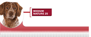 Royal Canin Medium Mature - Hrana Uscata Caini